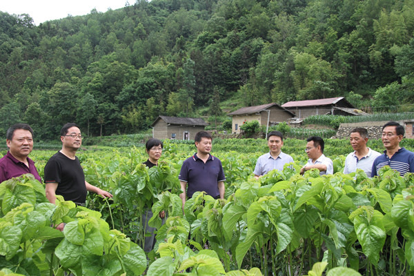 安康市商務(wù)局領(lǐng)導(dǎo)來我公司調(diào)研春蠶收購及扶貧點蠶?；亟ㄔO(shè)情況